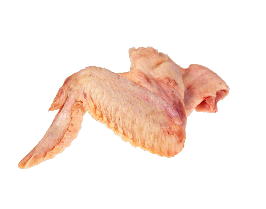 Ali di Pollo