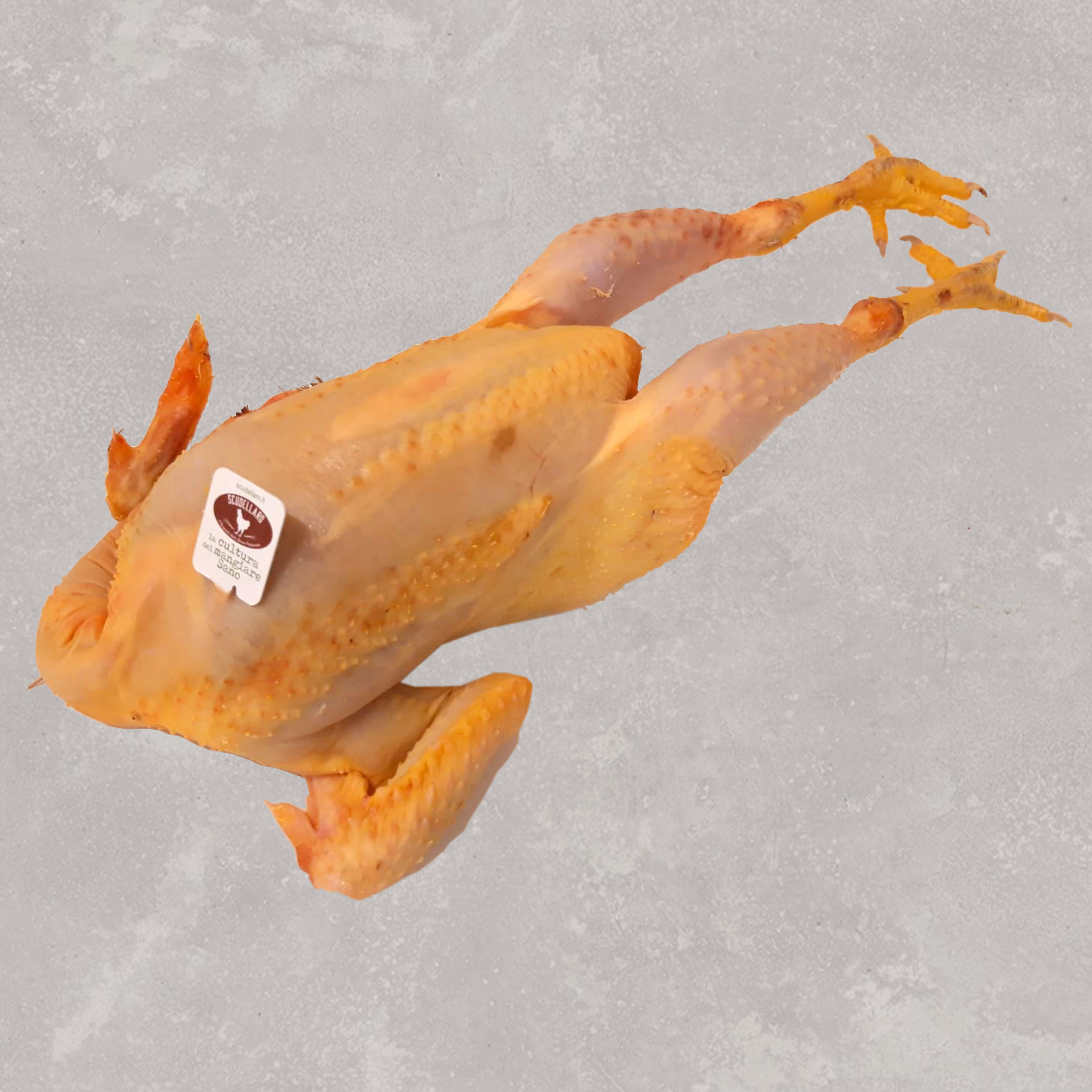 pollo casa bottega