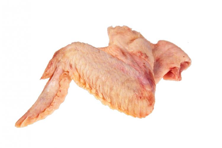 Ali di Pollo