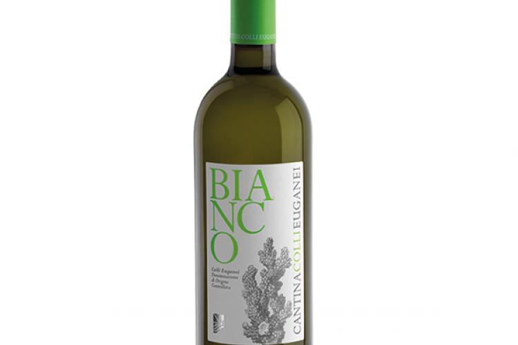 Bianco DOC