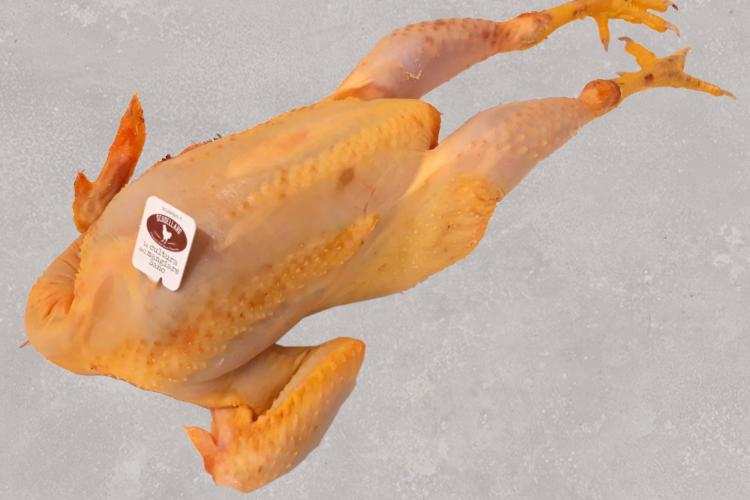 pollo casa bottega